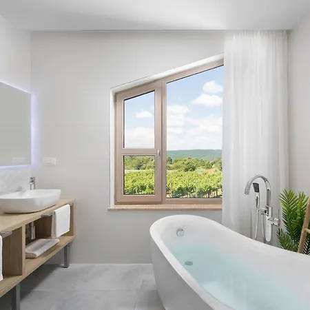 D Villa Labin (Istria)