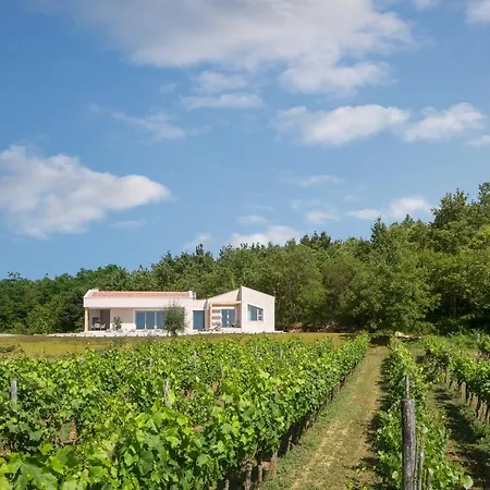 Villa D Labin (Istria)